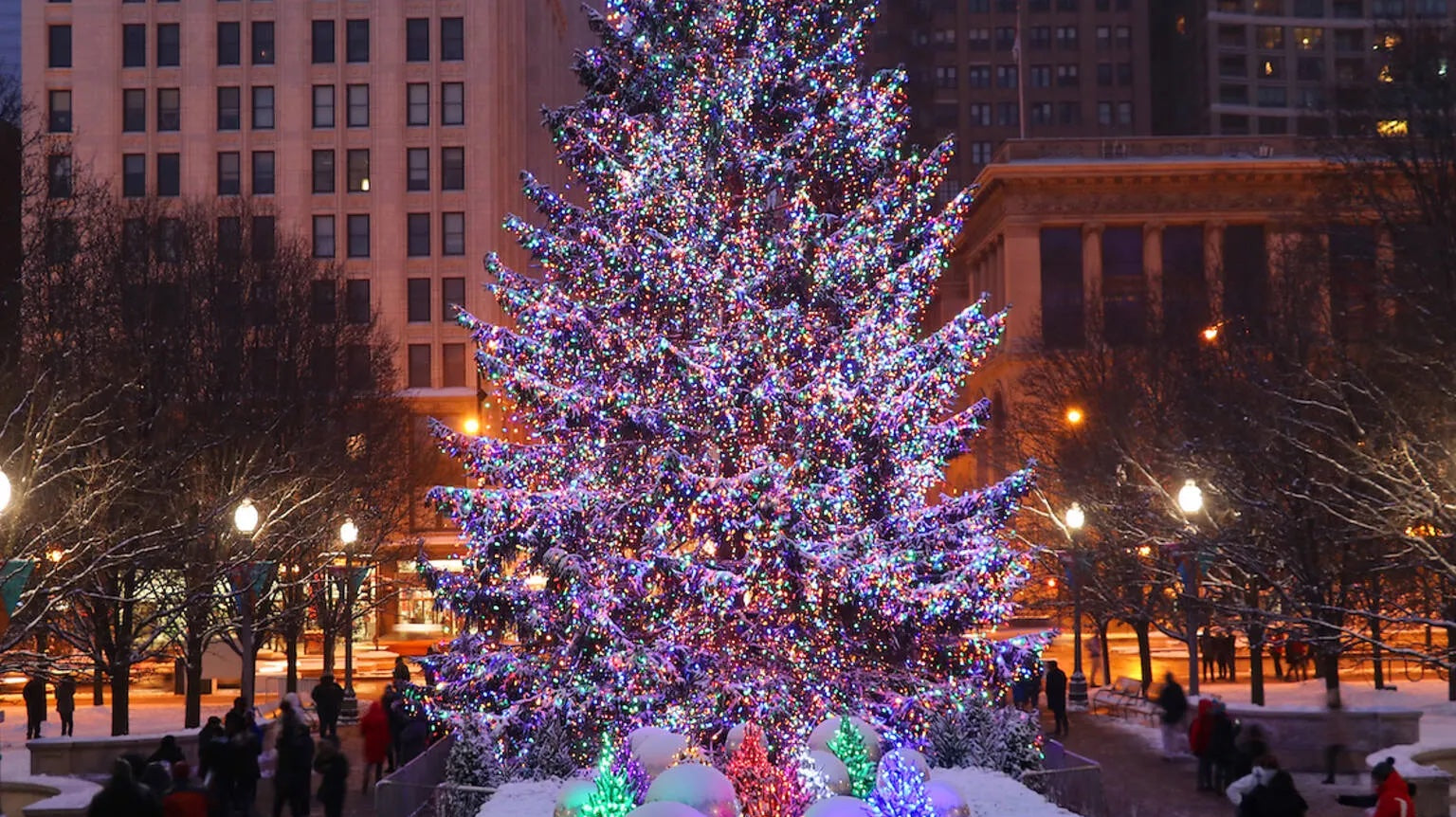 How Wonderful it is to Have a New Book!